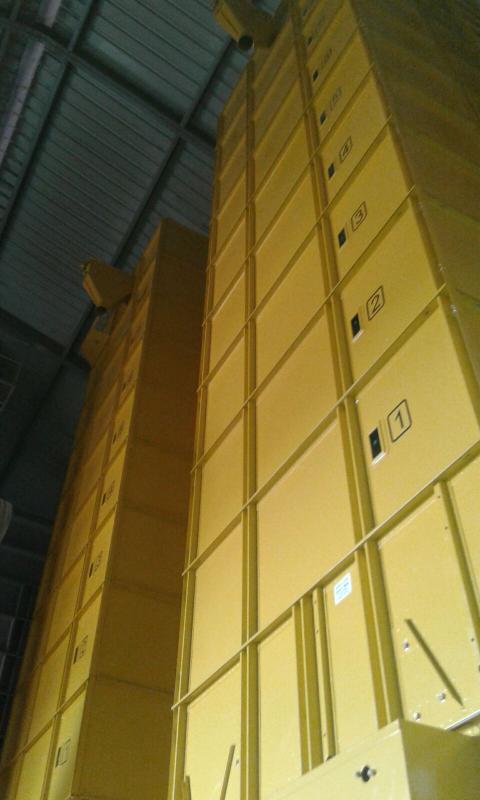 recepción y secado de arroz agromay